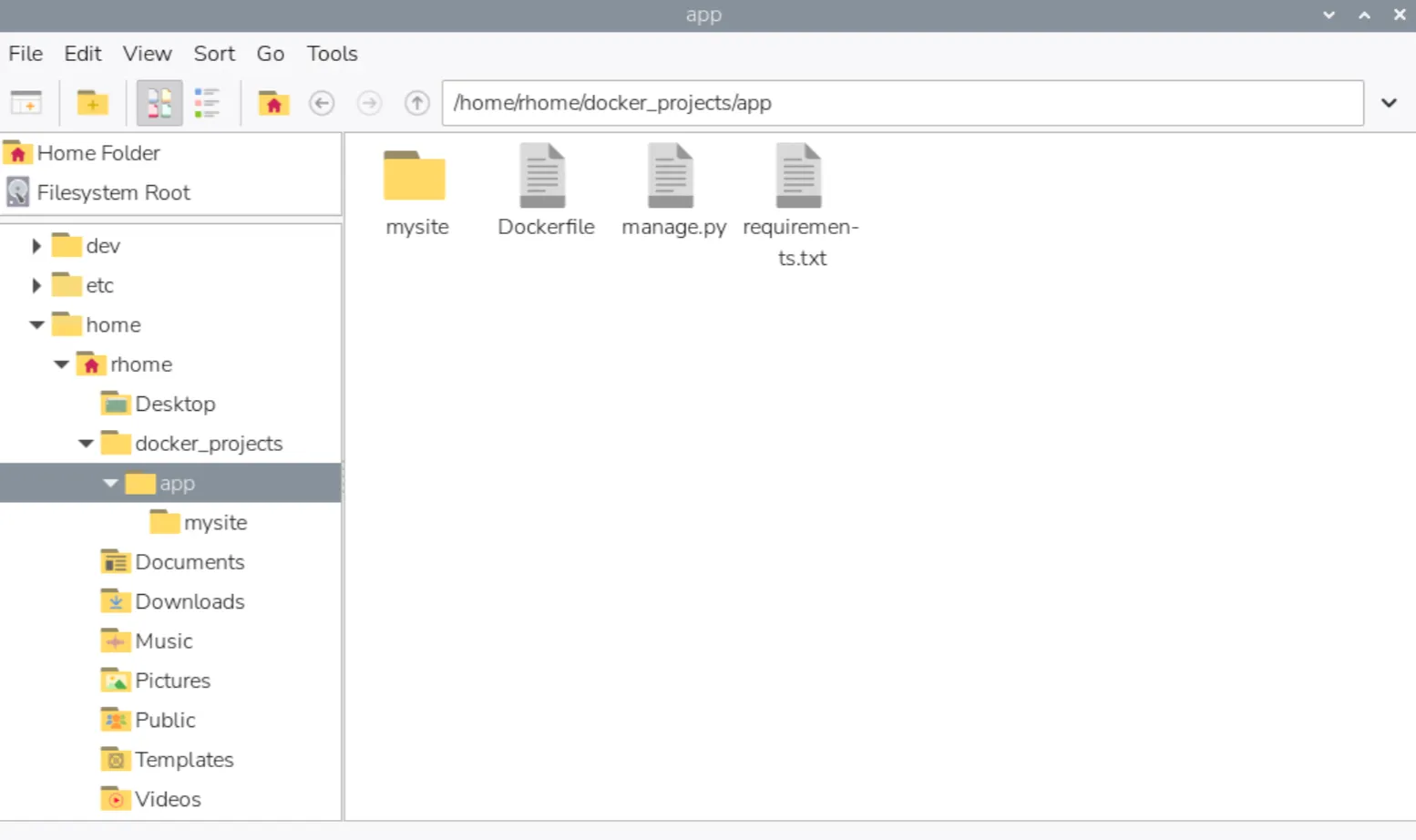 Файлы проекта Django в директории app: mysite, Dockerfile, manage.py, requirements.txt