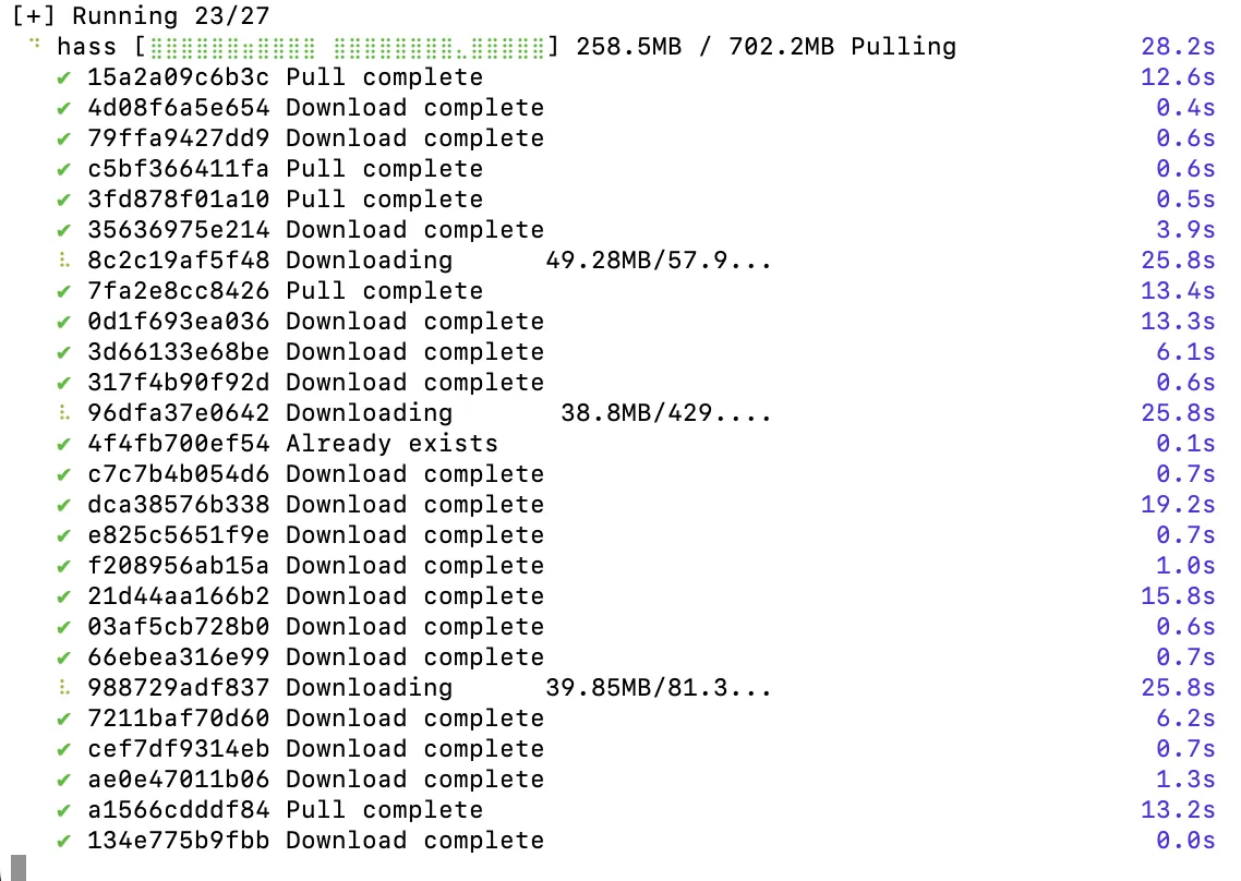 Процесс загрузки образа Home Assistant через Docker